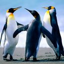 hssan (@0126526772) Twitter