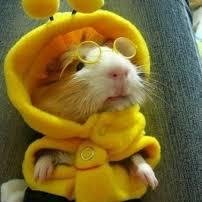 NormalLifeRPG's profile picture. Can you handle living like a normal human? || @/DM to join. || Taken roles in the favorites. || All information in the link below.