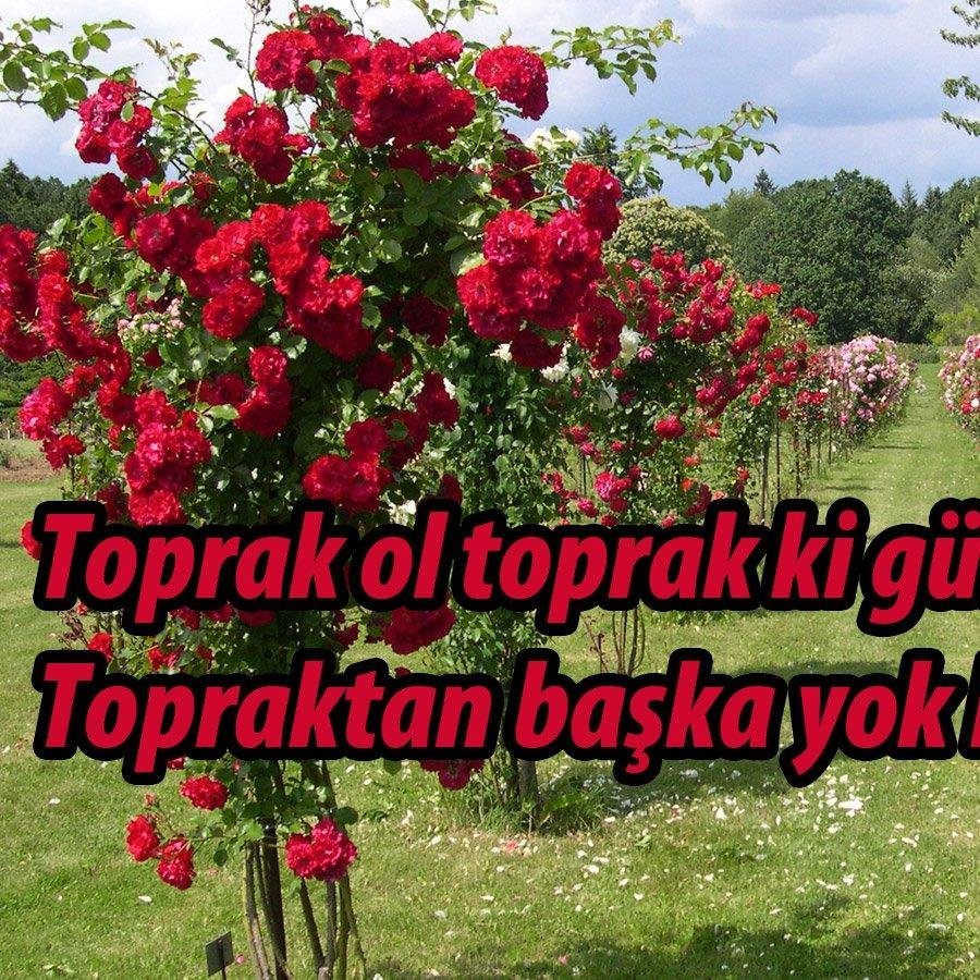 Dünyadan kopmuş bir Türkiye’nin ayakta kalması mümkün değildir.Onu çevresinden tecrît etmeye çalışanlar ne kadar büyük bir ihanet içinde bulunduklarını keşke...
