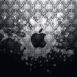 Hayatım Fenerbahçe, Apple sevgisinden ibaret diyebilirim