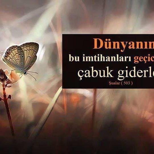 Hiç UMMADIĞIN yerde...Nagah AÇILIR perde...DERMAN yetişir DERDE....MEVLAM Görelim neyler...Neylerse GÜZEL Eyler...