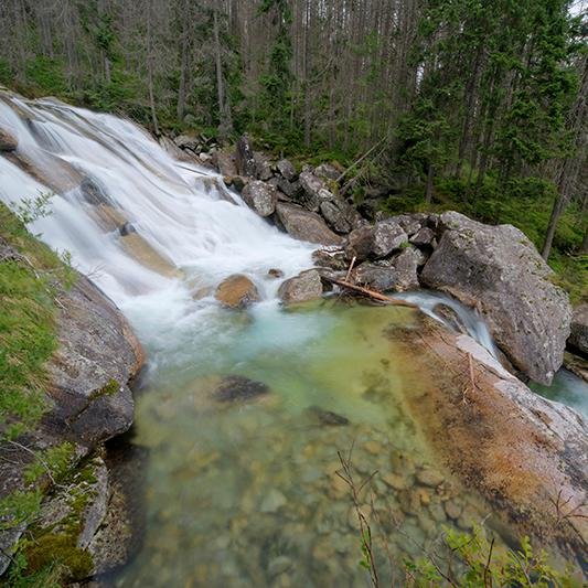 Pe666check's profile picture. 