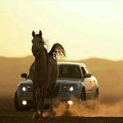 ‏الحساب يُدار بواسطة مزاج راعيه💁‍♀️
وليس لمحتوى يرضيك