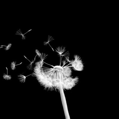 Julie0_D's profile picture. 