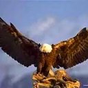 Earl Buckner - @buckner_earl - Twitter