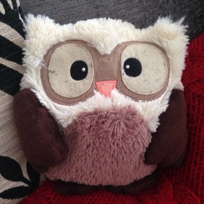 Life of an Owl