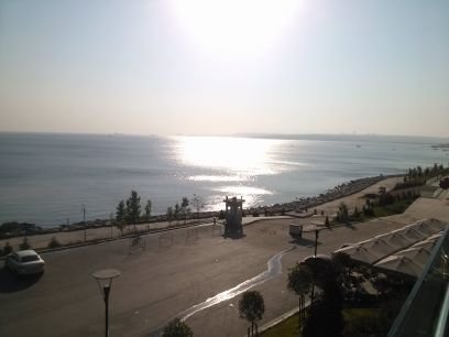 FortzaItalia's profile picture. 