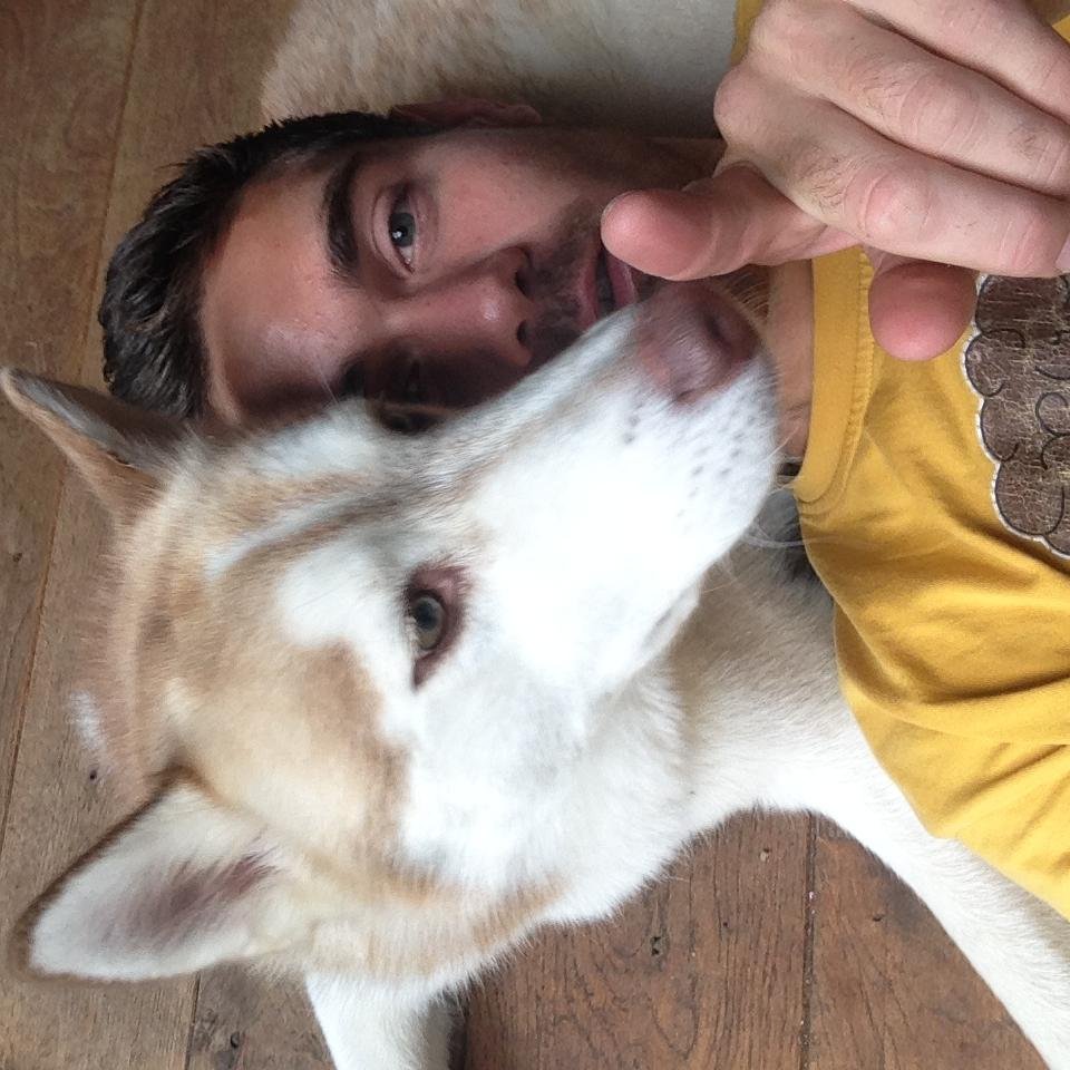 davidvrooij's profile picture. 