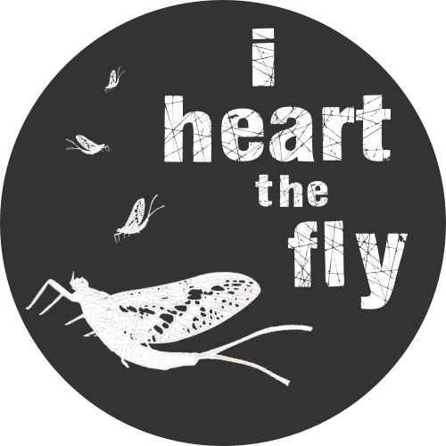 iheartthefly Profile Picture