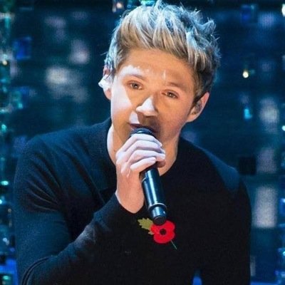 DIRECTIONER ET CALDERIC FOREVER toujours debout jamais a genou directioner jusquau bout❤️❤️❤️ Niall mon mari❤️ Louanor le couple en or ❤️ french directioner