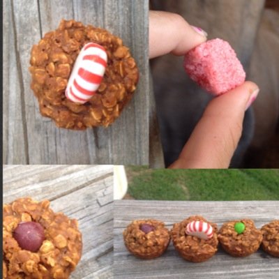 Hi! Im Leannas Equine Sweets. I make and sell all natural horse treats and neck ropes. Thanks for following !!