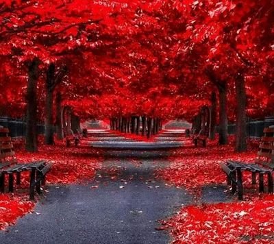 ابحث عنك