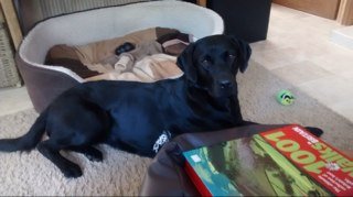 jkdal1's profile picture. 