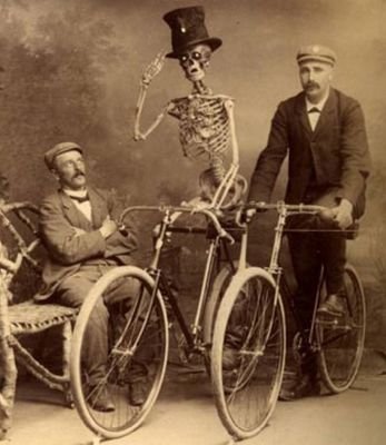 NoFreeWheelin's profile picture. 