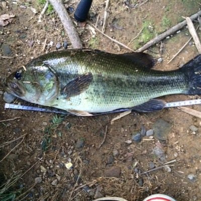 高2.バス釣りやってます‼︎ 釣り好きの方フォローお願いします‼︎ 三重