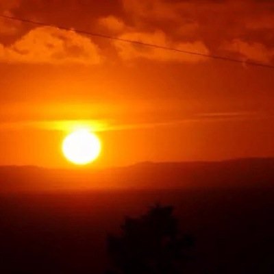 Bernice Devereaux. 🇨🇦🫐