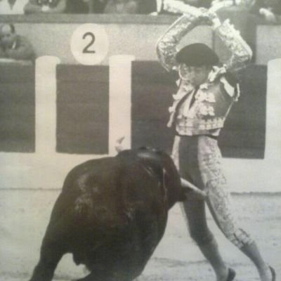 Banderillero de Toros.