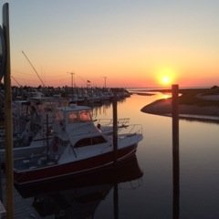 DohertyJdoh4's profile picture. 