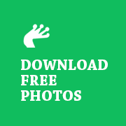 PicFrog's profile picture. Free Stock Photos