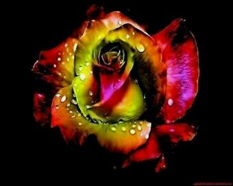 IvaniNat76's profile picture. 