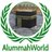 AlummahWorld