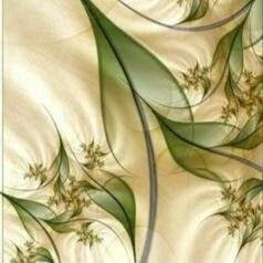 kiaranixon41's profile picture. 