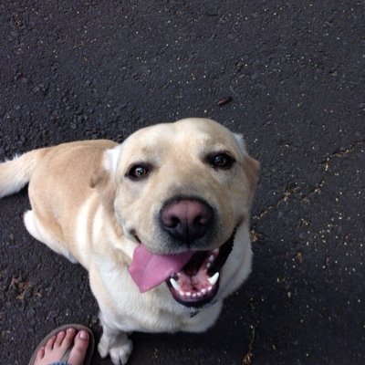 jovan_tovar's profile picture. 