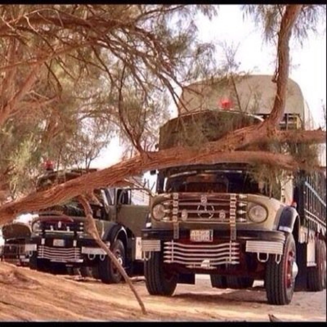 hhhgghg1's profile picture. 