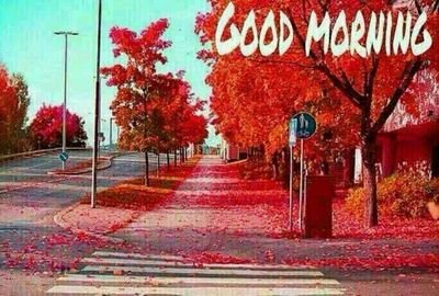 rgcs34's profile picture. 