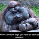 jack - @Jack72447Kay - Twitter