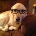 Maureen Fox-Rusch (@ruureads) Twitter profile photo