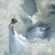 RODRIGUEZPARDO's profile picture. Caminando.... buscando no tan solo,  su paz, sino los que esten junto a mi y que eso.. sea ejemplo para los que quieran ver y mirar.