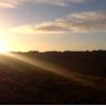 emmspirit's profile picture. Contemplative prayer; stillness and listening.