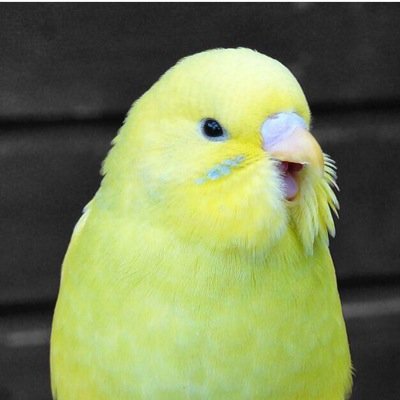 暇人さんのプロフィール画像