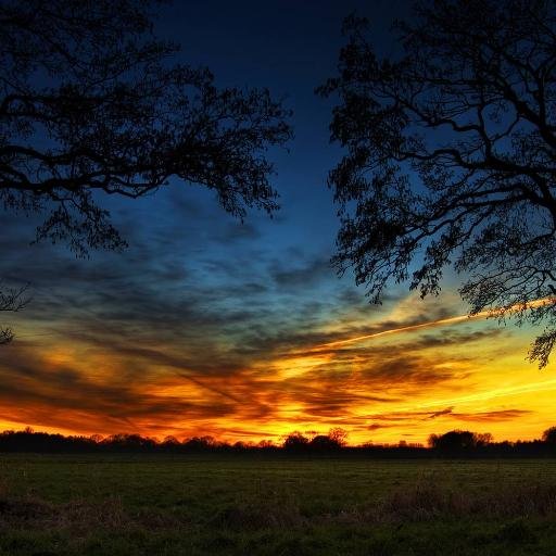 39_jensen's profile picture. 