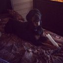 andy solomon - @a1gunnin - Twitter