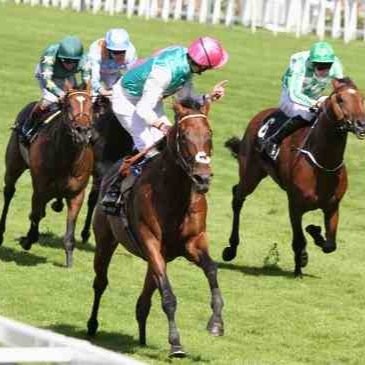 Layalldaytiping's profile picture. Aim is to lay favourites to lose up to no more than 3/1 so on betfair that equates to 4.0. Make sure your liability is no more than 10% of your betting account