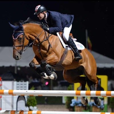 Hey guys, This twitter is all about the problems of owning/riding a bay horse But we still love them!