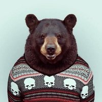 Andriy Mikheyev (@a_mikheyev1997) 's Twitter Profile