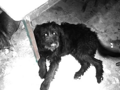 acostamax1's profile picture. hoy es un dia especial