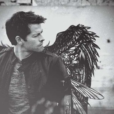 “I'm an angel with a shotgun, fighting 'til the war's won. I don't care if Heaven won't take me back.” I've heard the angels cry; I pray no more may die.