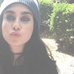 one day it will say lauren jauregui followed you ✨ @sundropgomez✨