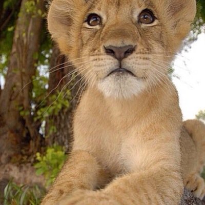 Tanialvarado20's profile picture. 