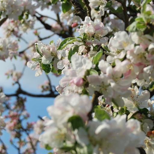 alexandra020707's profile picture. 