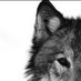 karla demirel (@kadealar) Twitter profile photo karla demirel (@kadealar) Twitter profile photo