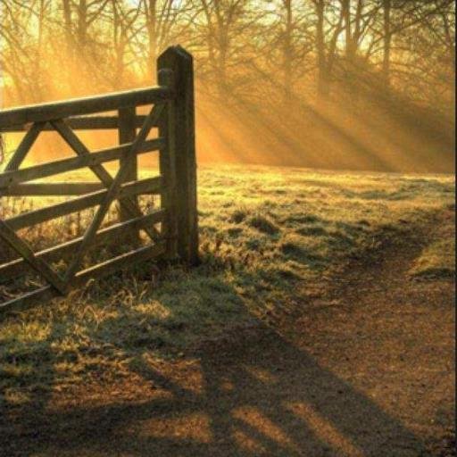 govanfamily78's profile picture. Never give up on life.