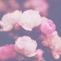 kEm̉a (@kema_66) Twitter profile photo