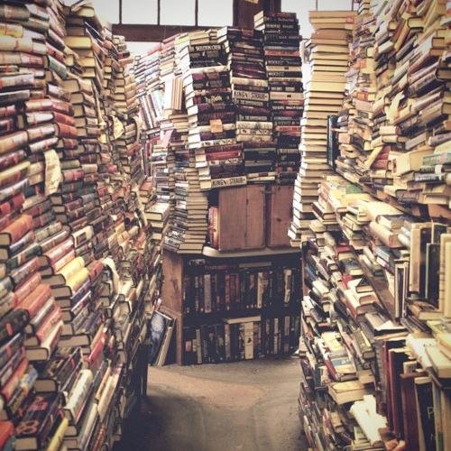 OlympLight's profile picture. 