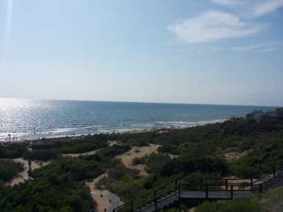 Celtics_332's profile picture. 