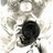 VillanoPH's profile image
